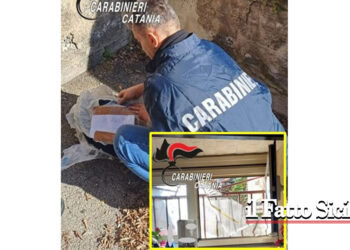 I CC Gravina di Catania hanno tratto in arresto una 30enne catanese, con precedenti, che deteneva in casa oltre 300 g di marijuana