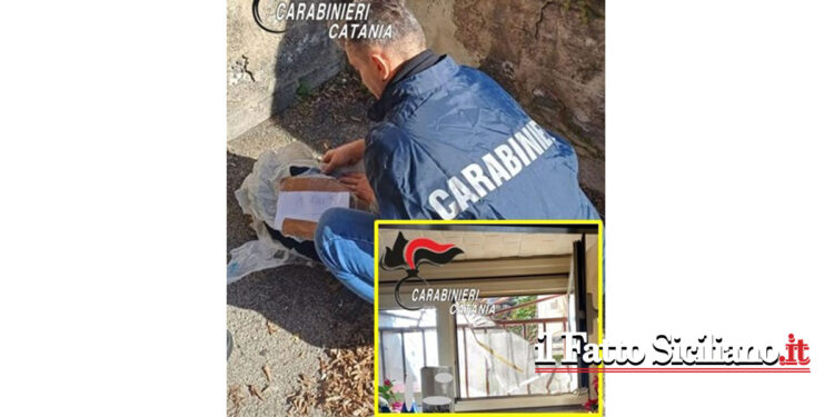 I CC Gravina di Catania hanno tratto in arresto una 30enne catanese, con precedenti, che deteneva in casa oltre 300 g di marijuana