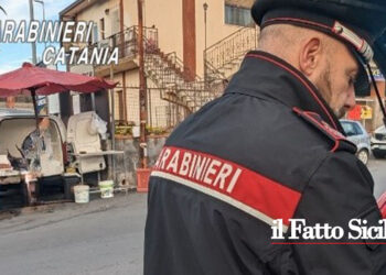 I CC di Pedara hanno effettuato dei controlli a tutela dei consumatori e i CC di Acireale controlli stradali anche con etilometro