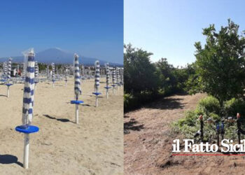 Da Orleans: 6,5 mln a Rsa e riabilitazione; Proroga concessioni balneari a fine 2024; 240 mln ad agricoltura biologica e aree svantaggiate; altro