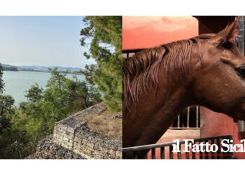 Da Orleans: Secondo aggiornamento gestione acque; sport equestri per il reinserimento dei giovani che hanno commesso reati; altro