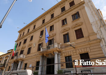 La Questura di Palermo ha emesso divieti, Dacur e Daspo, di cui quattro di accesso al centro cittadino ed uno allo stadio