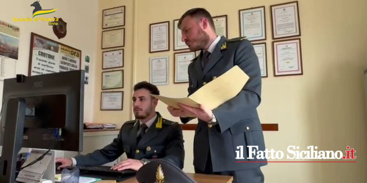 Sequestrati 84.000 mq di terreni dalla GdF di Nicosia ad un residente a Troina per truffa aggravata in erogazioni pubbliche