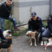 La Polizia di Stato di Caltanissetta ha liberato a Niscemi 12 cani malnutriti ed in ipotermia, costretti in gabbie o incatenati. L’OPINIONE