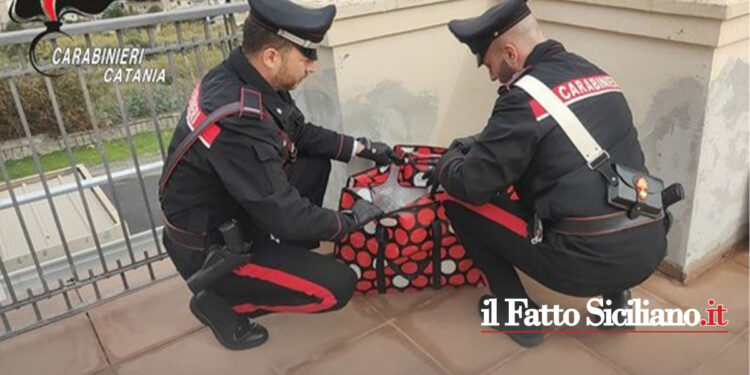 Catania. 6 kg di marijuana in balcone