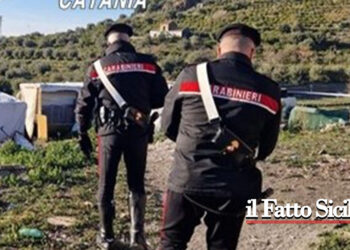 Prov. Catania. Imprenditore ospita 5 tunisini e ruba energia elettrica