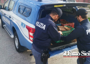 Sicilia. Artificieri rimuovo cassetta di munizioni risalente alle seconda guerra mondiale