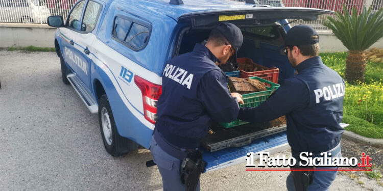 Sicilia. Artificieri rimuovo cassetta di munizioni risalente alle seconda guerra mondiale