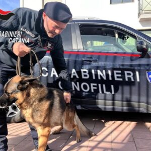 I CC di Acireale hanno disposto servizi straordinari per la sicurezza e la prevenzione dei reati in occasione del Carnevale