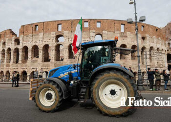 L’esenzione Irpef per 2 anni presentata dal Governo Meloni sarà totale per gli agricoltori fino a € 10 ml e metà fino a €15 ml