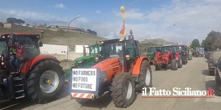 Continua la protesta degli agricoltori, da Nord a Sud. Gli annunci dell’UE, i propositi del Governo nazionale e regionale