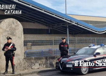 I CC di Acireale e Aci Sant’Antonio hanno arrestato un 20 enne e deferito un altro, entrambi gemelli, per spaccio di cocaina