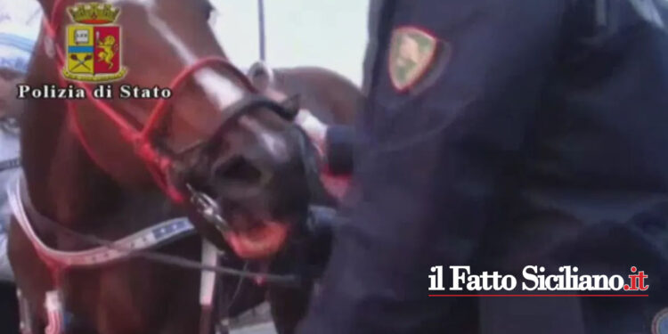 La Questura di Caltanissetta ha emesso 27 ‘avviso orale’ per corsa clandestina di cavalli scoperta dal Commissariato di Niscemi