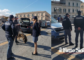 La Questura di Siracusa ha coordinato un’operazione interforze (VIDEO) di contrasto all’illecito, all’abusivismo e alle violazioni stradali