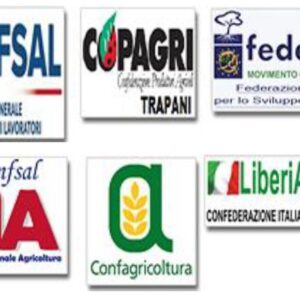 Un migliaio di agricoltori di tutta la prov. di Trapani hanno pacificamente manifestato a Marsala: domani sfileranno. Martedì a Roma