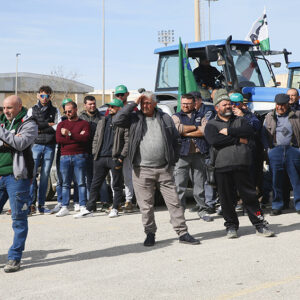Un migliaio di agricoltori di tutta la prov. di Trapani hanno pacificamente manifestato a Marsala: domani sfileranno. Martedì a Roma