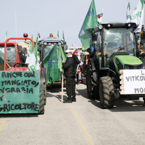 Un migliaio di agricoltori di tutta la prov. di Trapani hanno pacificamente manifestato a Marsala: domani sfileranno. Martedì a Roma