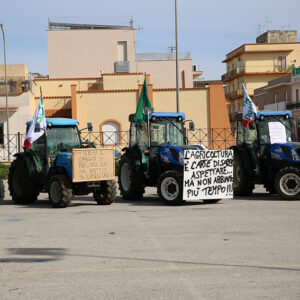 Un migliaio di agricoltori di tutta la prov. di Trapani hanno pacificamente manifestato a Marsala: domani sfileranno. Martedì a Roma