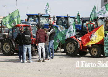 Un migliaio di agricoltori di tutta la prov. di Trapani hanno pacificamente manifestato a Marsala: domani sfileranno. Martedì a Roma