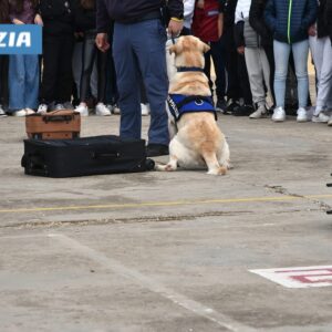 La Questura di Ragusa e i Commissariati di Vittoria, Comiso e Modica in un evento (FOTO) con i cinofili anche di Messina