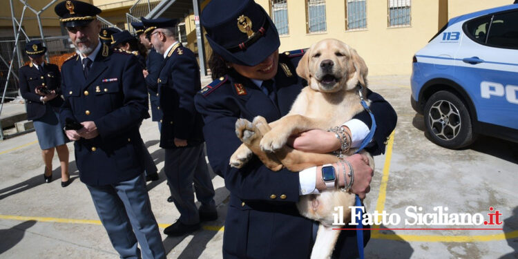 La Questura di Ragusa e i Commissariati di Vittoria, Comiso e Modica in un evento (FOTO) con i cinofili anche di Messina