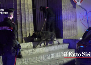 I CC di Palermo nel corso di una vasta operazione antidroga hanno eseguito sei arresti e sequestrati 25 kg di droga e due pistole