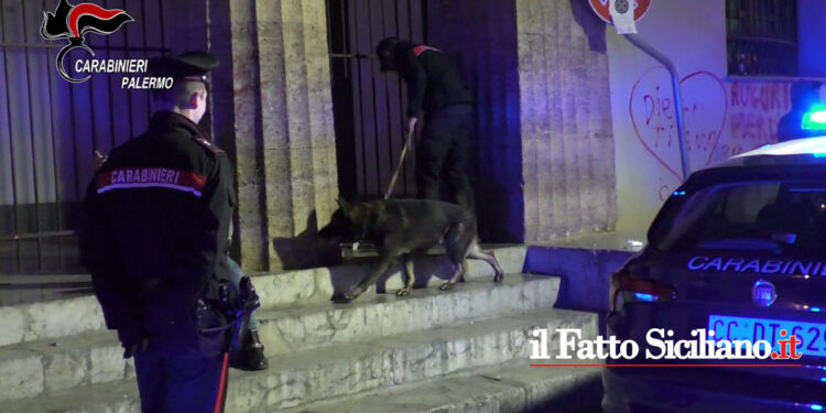 I CC di Palermo nel corso di una vasta operazione antidroga hanno eseguito sei arresti e sequestrati 25 kg di droga e due pistole