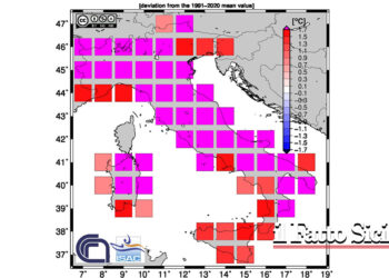 Nel centro-Italia lo scarto è persino superiore. La Coldiretti scrive alla Regione Sicilia. La Giunta regionale dichiara lo stato di crisi