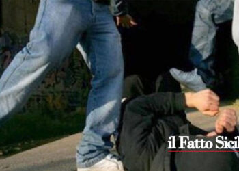 Sicilia. Pesta un disabile. Arrestato 20enne