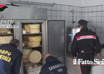 I CC hanno denunciato 2 catanesi di un caseificio abusivo i cui prodotti non sono stati neanche ritenuti commestibili