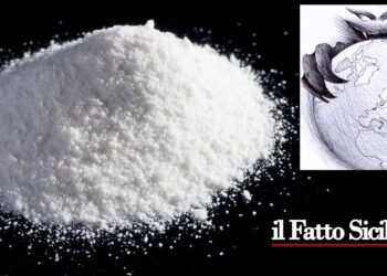 Il Global Report on Cocaine 2023 dell’UNODC (Ufficio ONU) evidenzia che è in crescita nel mondo l’offerta e il consumo di cocaina
