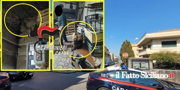I CC di Giarre congiuntamente all’Asp e all’U.O.S.T. hanno chiuso un panificio in pessime condizioni igienico-sanitarie