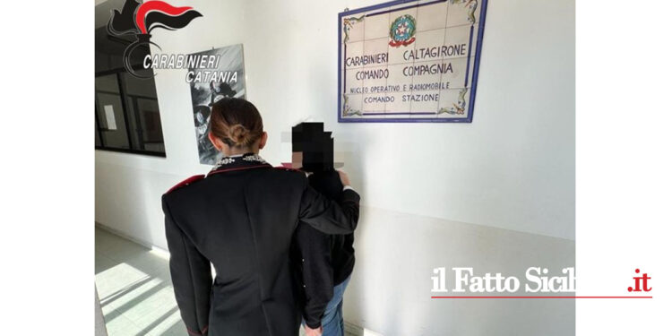 I CC di Caltagirone sono intervenuti dopo l’allarme della nonna di una 29enne aggredita dal 24enne convivente