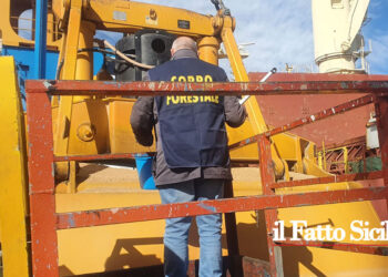 Dopo le manifestazioni degli agricoltori, la Regione Siciliana ha disposto controlli sul grano estero. Le importazioni di grano