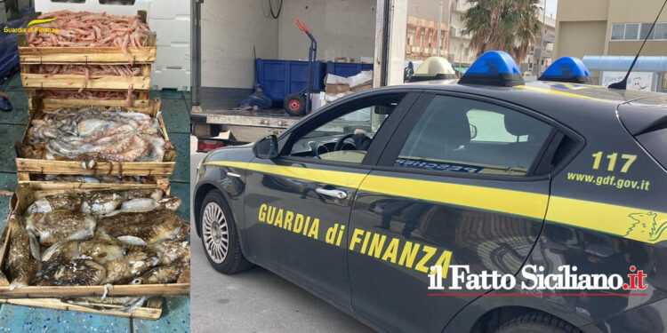 La GdF di Trapani ha interrotto un commercio abusivo di pesce proveniente prevalentemente da Mazara del Vallo