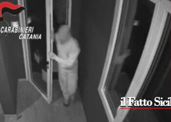 Catania. Tenta furto all’università ma viene sorpreso dai carabinieri