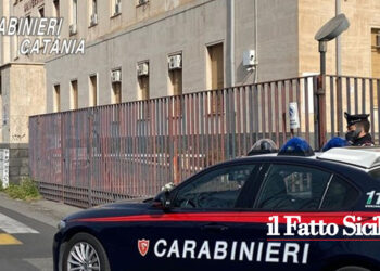 I CC di Catania hanno arrestato in flagranza un pregiudicato che tentava di rubare all’Università facendo scattare l’allarme