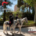 I CC di Piazza Verga insieme ai colleghi del Reggimento a cavallo di Roma (FOTO) hanno denunciato un 21enne paternese