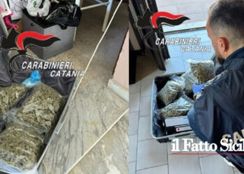I CC di Catania-Fontanarossa hanno arrestato un 22enne che spacciava con la droga nella valigetta 24ore in tuta ginnica