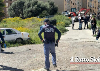 Da stamattina coordinato dalla Questura di Siracusa è in corso l’abbattimento di baracche abusive nelle adiacenze delle palazzine di edilizia popolare