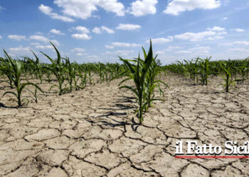 Costituito presso la presidenza della Regione team di professionisti per affrontare la crisi idrica. Perplessità di Coldiretti Sicilia