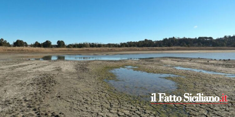 La Regione Siciliana ha chiesto lo stato di emergenza contro l’avanzare della siccità. Preoccupa l’erogazione di acqua potabile. L’OPINIONE