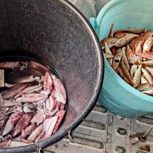 Controlli interforze alla “Pescheria”: pesce di provenienza ignota, candeggina nelle vasche, lavoratori irregolari, abusivi