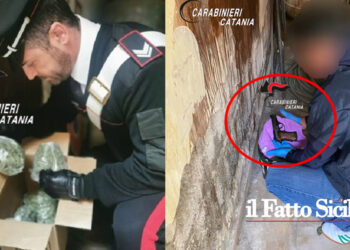 I CC di Catania hanno arrestato due pusher, zio e nipote, che armati spacciavano marijuana, hashish e cocaina
