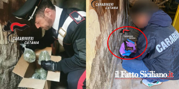 I CC di Catania hanno arrestato due pusher, zio e nipote, che armati spacciavano marijuana, hashish e cocaina