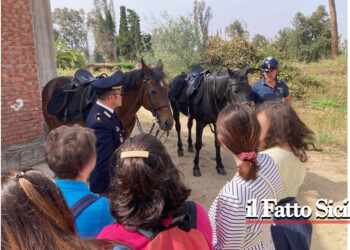 I ragazzi del Centro Diurno Diffuso per persone con disabilità, hanno passato una gioiosa giornata insieme alla Polizia di Stato