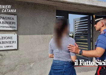 I CC di Catania hanno arrestato un ambulante pregiudicato che urlando tentava di aggredire la moglie minacciandola di morte