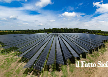 Contributo a fondo perduto fino al 40% rivolto ai campi e allevamenti i cui impianti siano realizzati nei Comuni sotto i 5mila abitanti