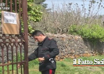 I CC di Randazzo insieme ai Nas di Catania hanno sanzionato un ristoratore residente a Linguaglossa che organizzava eventi abusivamente