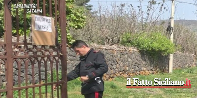 I CC di Randazzo insieme ai Nas di Catania hanno sanzionato un ristoratore residente a Linguaglossa che organizzava eventi abusivamente